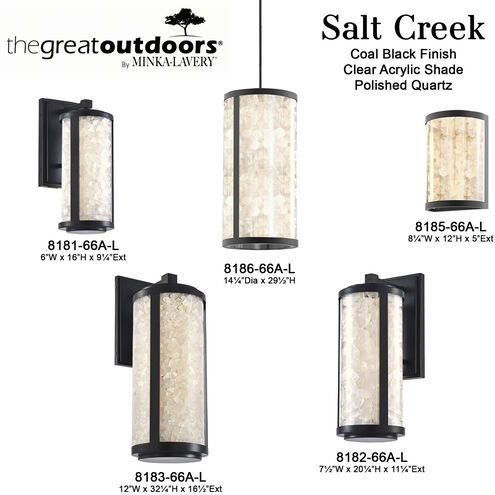 Great Outdoors Salt Creek LED 32.25 inch Coal Outdoor Wall Sconce